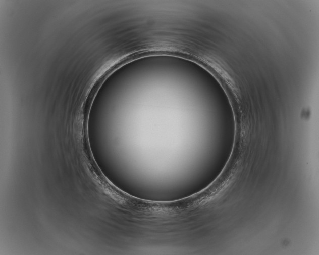 X0000096180933200801181309