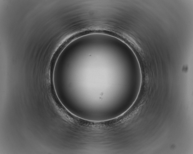 X0000096180934200801181309