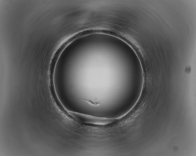 X0000096180935200801181309
