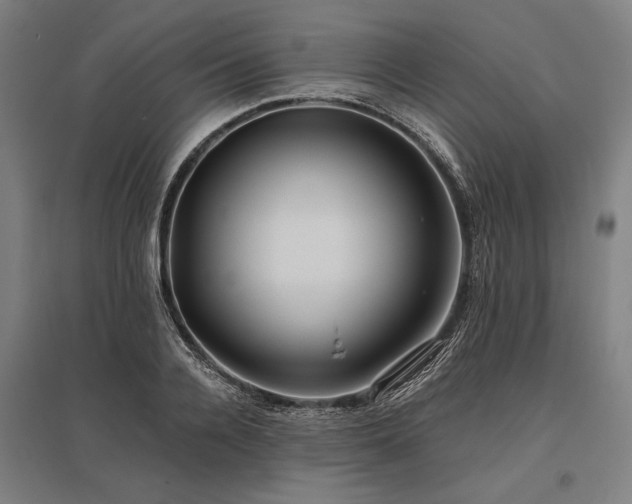X0000096180936200801181309