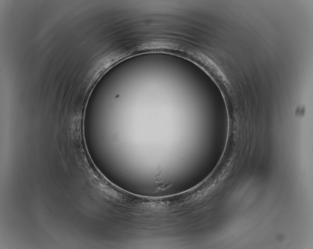 X0000096180937200801181309