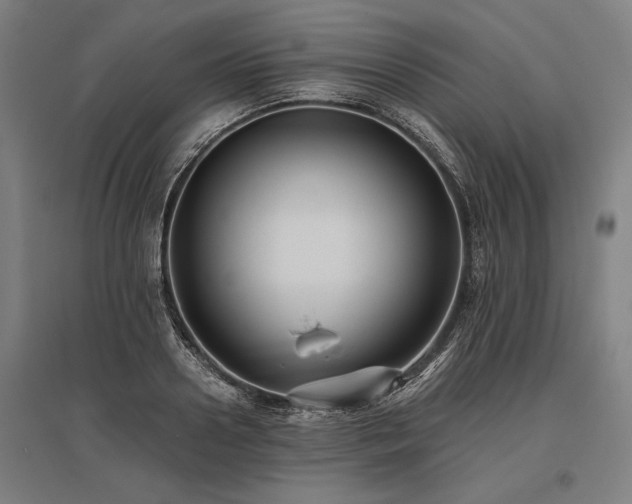 X0000096180938200801181309