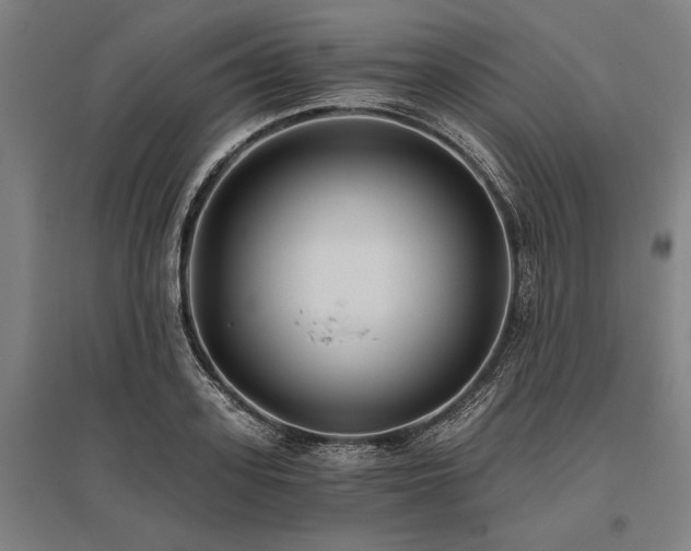 X0000096180939200801181309