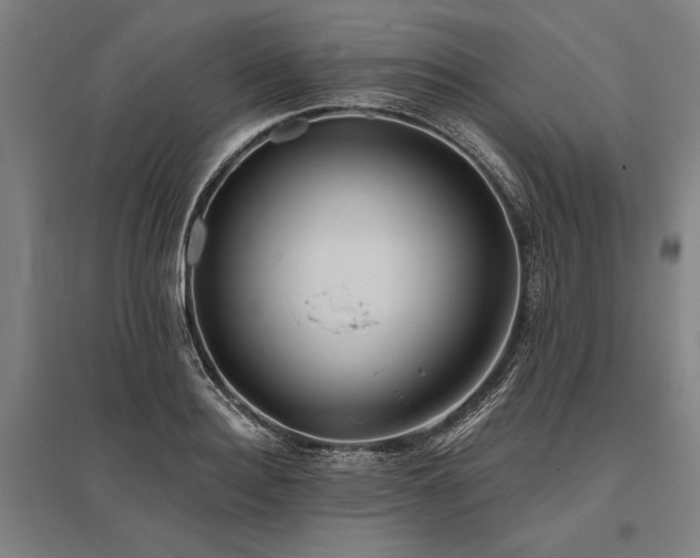 X0000096180940200801181309