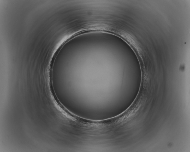 X0000096180941200801181309