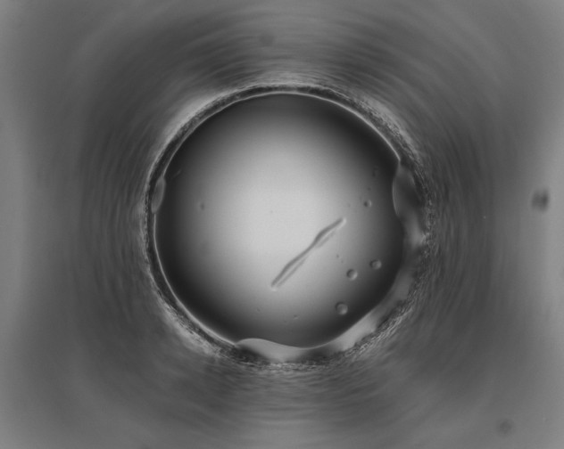 X0000096180942200801181309
