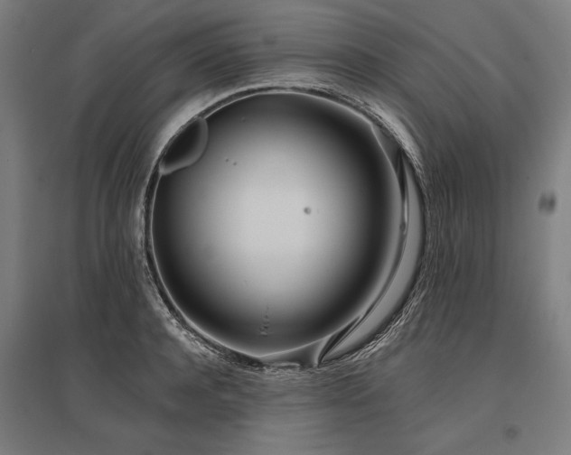X0000096180944200801181309