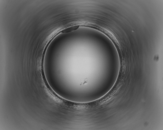 X0000096180946200801181309