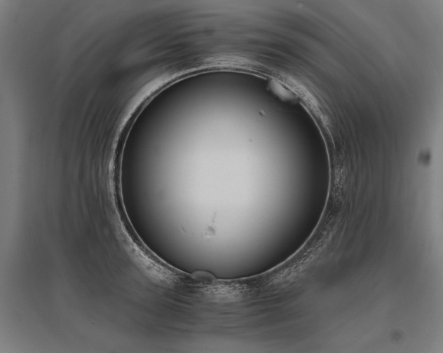X0000096180947200801181309