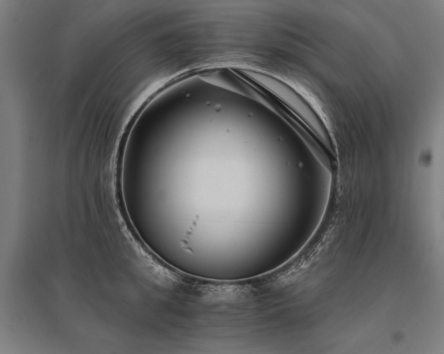 X0000096180949200801181309