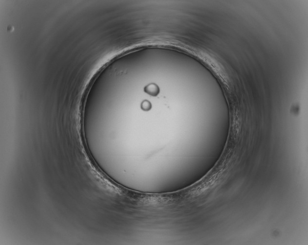X0000096180950200801181309