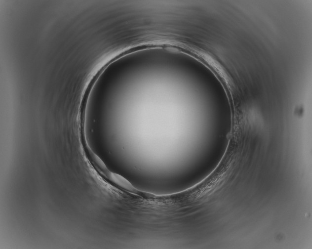 X0000096180951200801181309