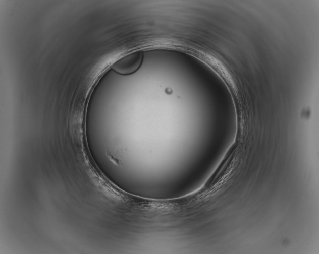 X0000096180954200801181309