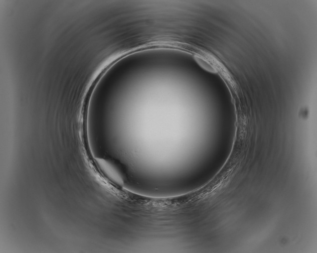 X0000096180955200801181309