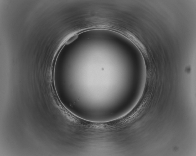 X0000096180956200801181309