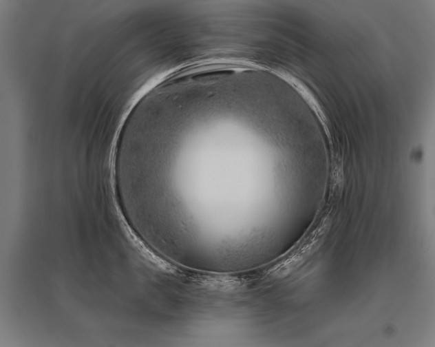 X0000096180957200801181309