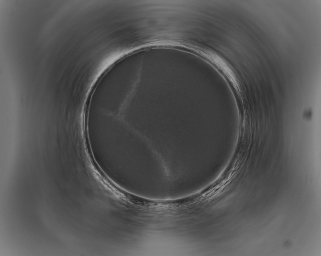 X0000096180958200801181309