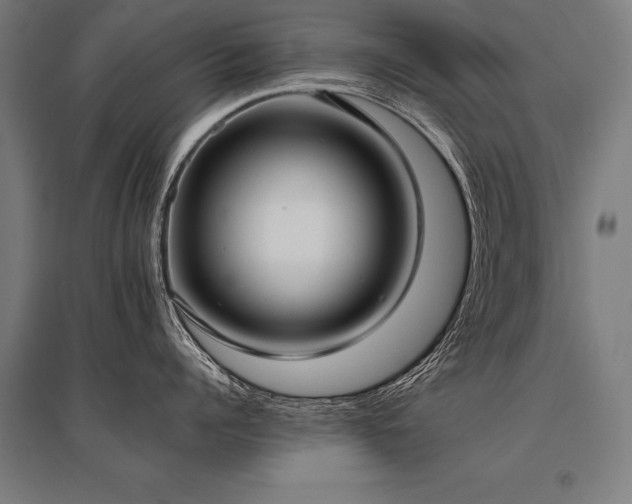 X0000096180960200801181309