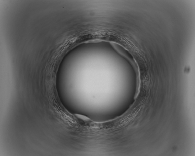 X0000096180961200801181309