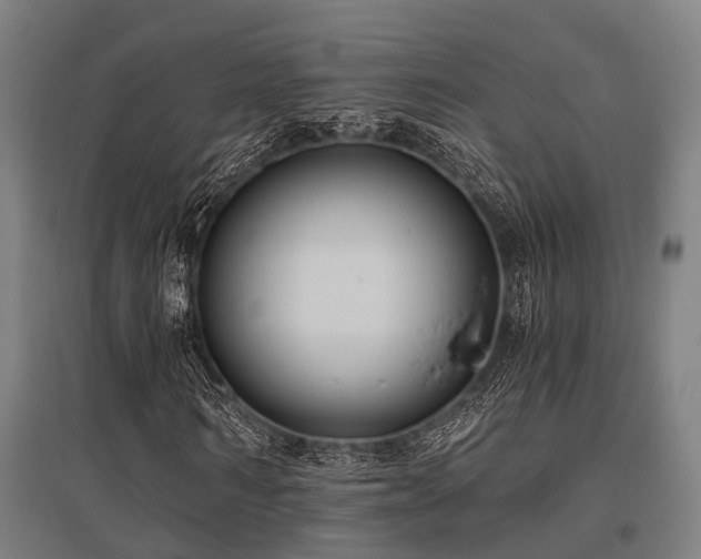 X0000096180962200801181309