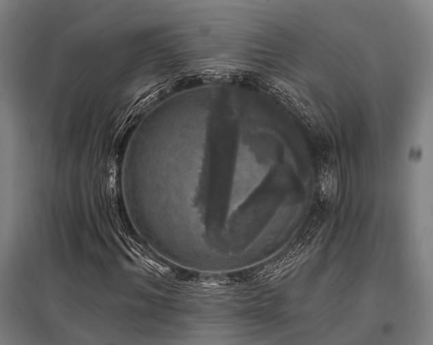 X0000096180964200801181309