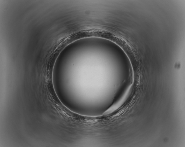 X0000096180965200801181309