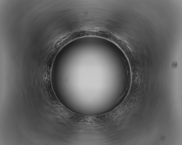 X0000096180966200801181309