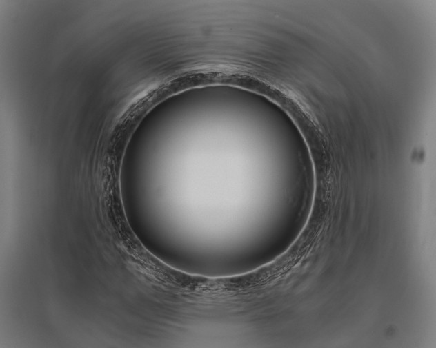 X0000096180967200801181309