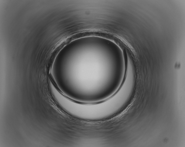 X0000096180969200801181309