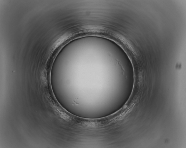 X0000096180970200801181309