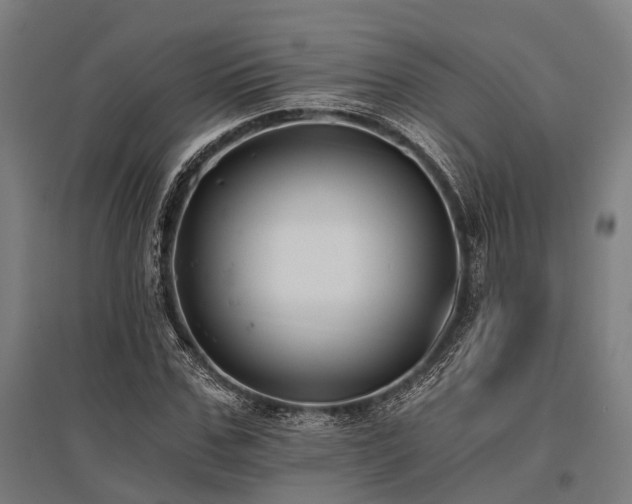 X0000096180971200801181309