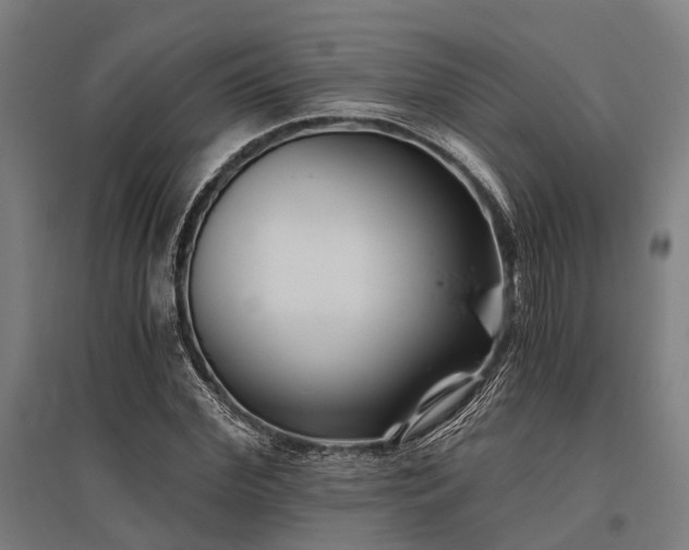 X0000096180972200801181309