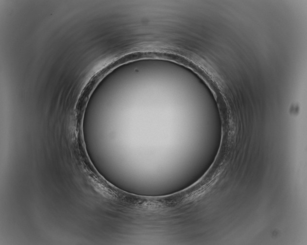 X0000096180974200801181309