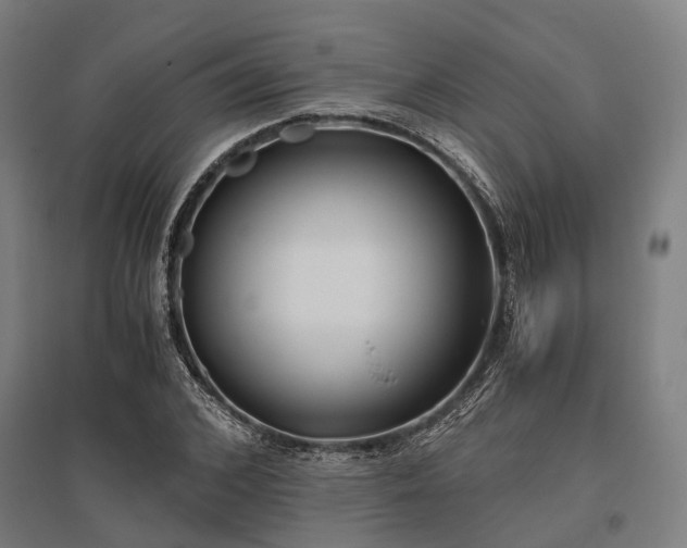 X0000096180976200801181309