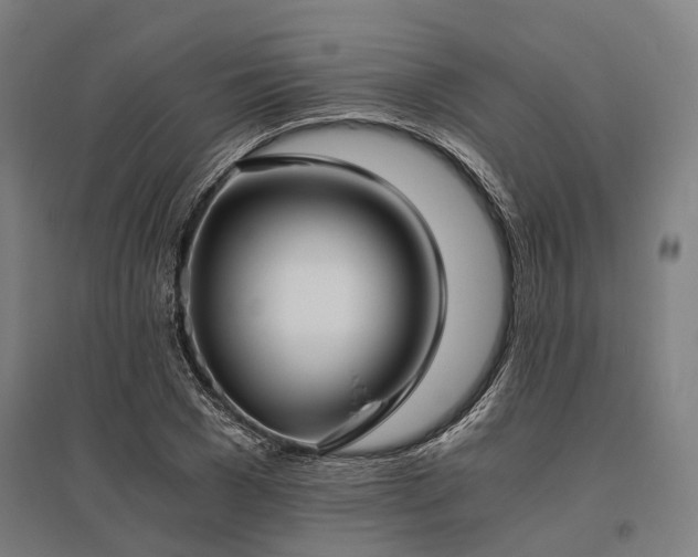 X0000096180977200801181309