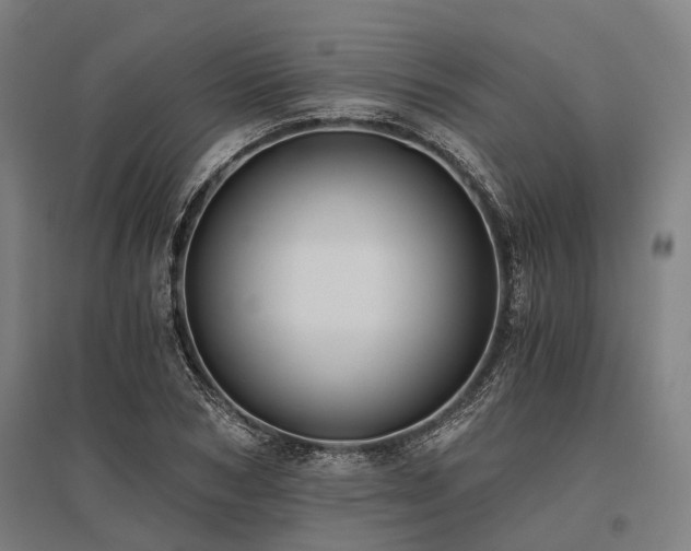 X0000096180978200801181309