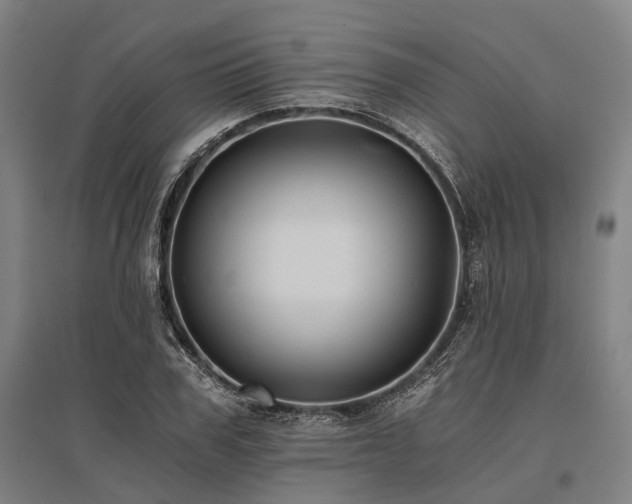 X0000096180979200801181309