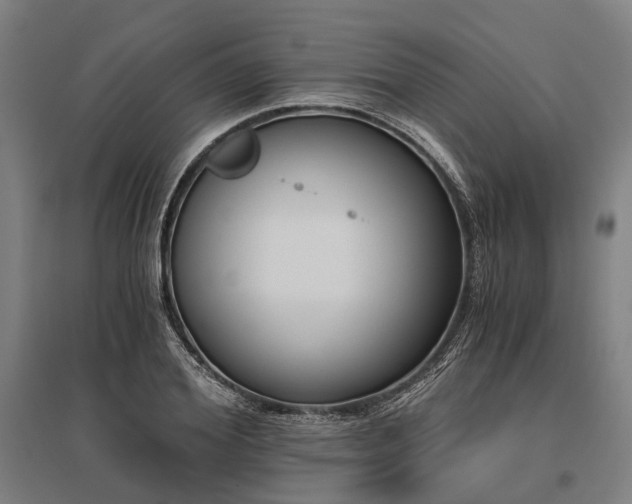 X0000096180980200801181309
