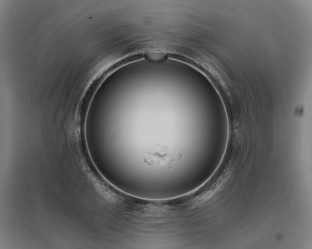 X0000096180981200801181309