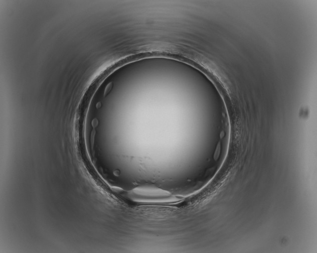 X0000096180983200801181308