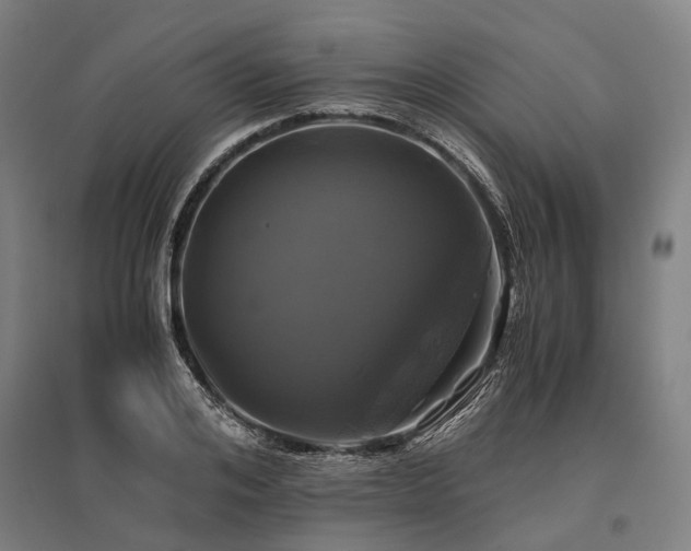 X0000096180984200801181308