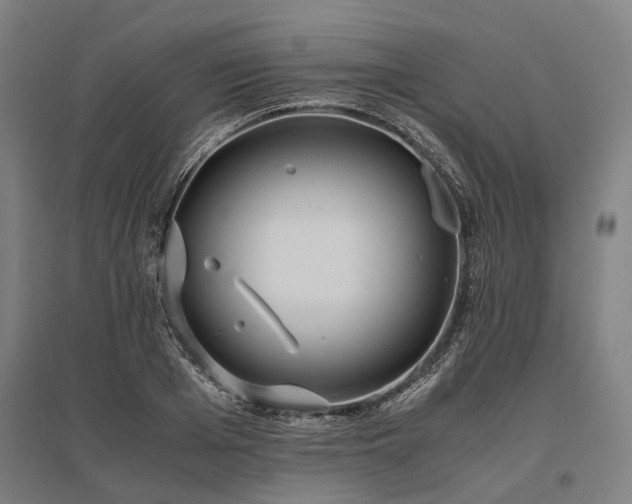 X0000096180985200801181308