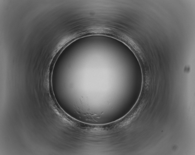 X0000096180986200801181308