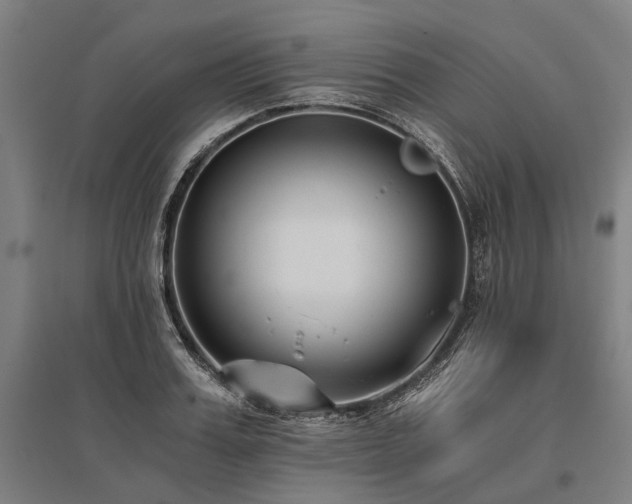 X0000096180987200801181308