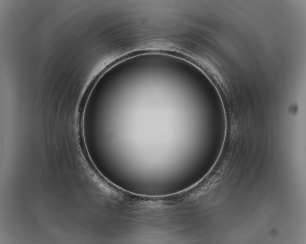 X0000096180990200801181308