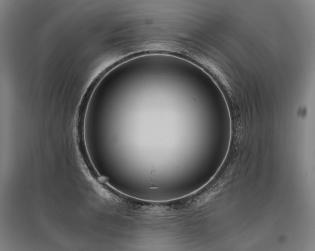 X0000096180991200801181308