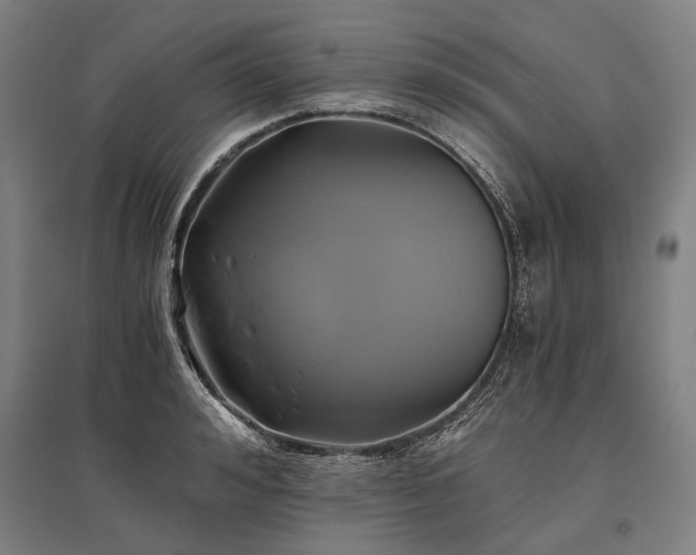 X0000096180992200801181308