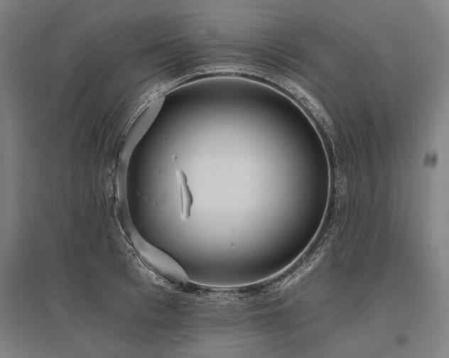 X0000096180993200801181308