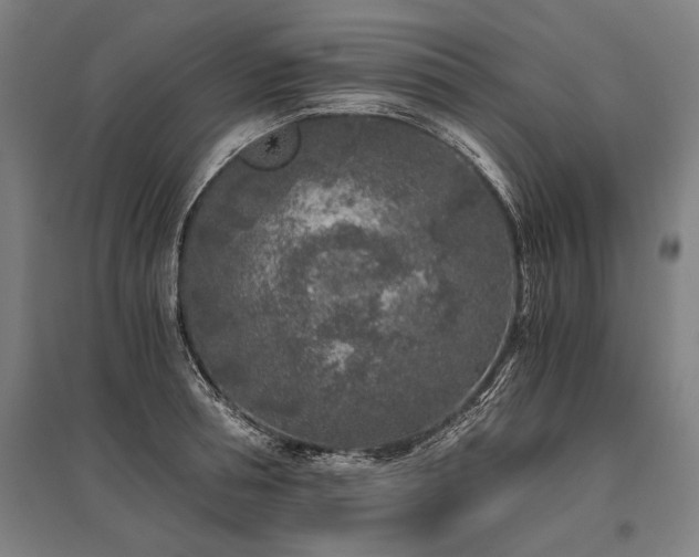 X0000096180994200801181308