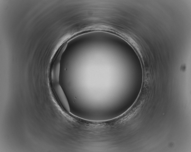 X0000096180997200801181308